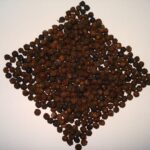 Black_pepper_whole