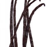 Vanilla_6beans